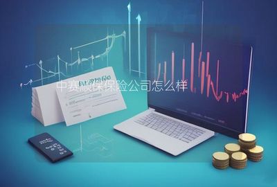 中賽順保保險(xiǎn)公司在計(jì)算機(jī)軟硬件的技術(shù)開(kāi)發(fā)與銷(xiāo)售領(lǐng)域的發(fā)展與優(yōu)勢(shì)